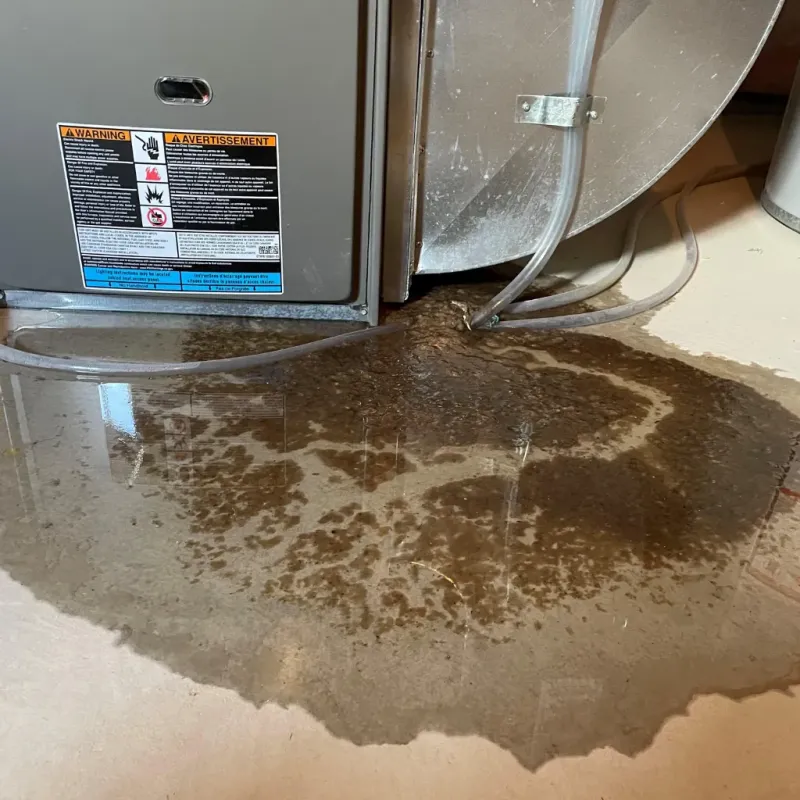 Appliance Leak Cleanup in Quanah, TX